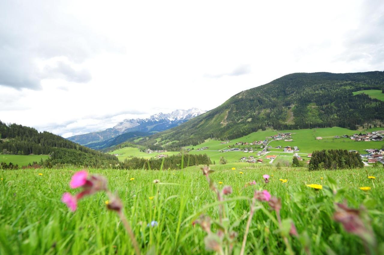 Buttermilchalm Bed and Breakfast Sankt Martin am Tennengebirge Buitenkant foto