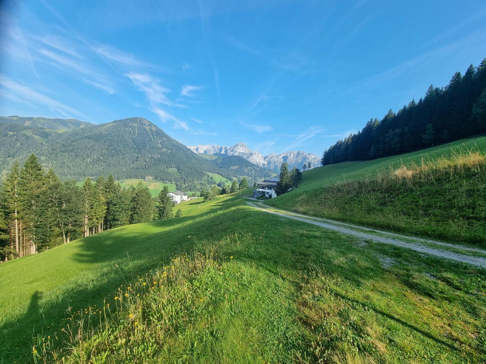 Buttermilchalm Bed and Breakfast Sankt Martin am Tennengebirge Buitenkant foto